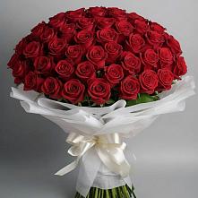 Букет 101 Красная роза Блэк Мэджик #REPLACE_PRED# Каменной Балке