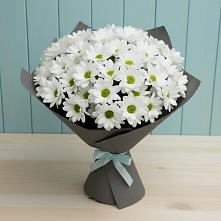 Букет цветов из:  Хризантемы в Каменной Балке