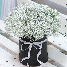 Цветочная композиция из Гипсофила в шляпной коробке #REPLACE_PRED# Каменной Балке