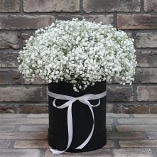 Цветочная композиция из Гипсофила в шляпной коробке в Каменной Балке