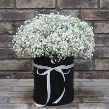 Цветочная композиция из Гипсофила в шляпной коробке в Каменной Балке