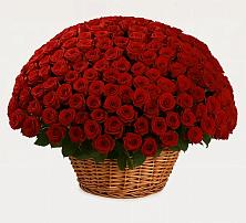 Премиум букет из: Розы в Каменной Балке